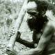 At Kuk in the Wahgi Valley a senior man applies a heavy digging stick to turn over the soil of a garden at an early stage of its preparation. In the past, long paddle spades made from yakla hardwoods were also used for trenching (Steensberg 1980). 