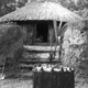 Image of New House for Men and Sacred Tub – Hagen, Papua New Guinea – (© P.J. Stewart & A.J. Strathern Archive)