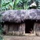 Image of a dwelling house surrounded by bananas – Hagen, Papua New Guinea, May 1980– (© P.J. Stewart & A.J. Strathern Archive)