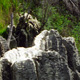 Image of limestone landscape near Stewart and Strathern Field House at Hagu – Duna, Papua New Guinea, 1998– (© P.J. Stewart & A.J. Strathern Archive)